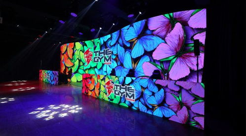 新加坡游戏厅,娱乐与科技的交汇之地(图3)