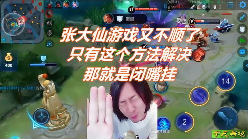 张大仙的游戏名,揭秘电竞王者之路(图3) 张大仙的游戏名,揭秘电竞王者之路(图3)