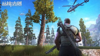 丛林法则游戏破解版,揭秘生存挑战的无限可能(图1) 丛林法则游戏破解版,揭秘生存挑战的无限可能(图1)