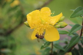 打美女屁屁游戏下载(图3) 打美女屁屁游戏下载(图3)