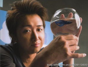 3p小游戏,挑战极限的互动体验之旅(图3) 3p小游戏,挑战极限的互动体验之旅(图3)