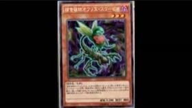 游戏王捕食植物构筑(图3) 游戏王捕食植物构筑(图3)