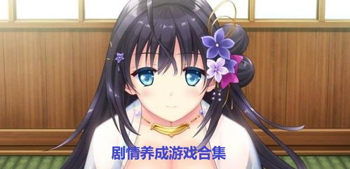 関守神汉化游戏 (图1) 関守神汉化游戏 (图1)