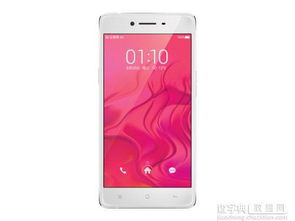 考眼力5000关 (图2)