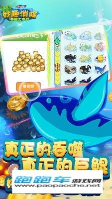 养鲲进化新物种 (图1) 养鲲进化新物种 (图1)