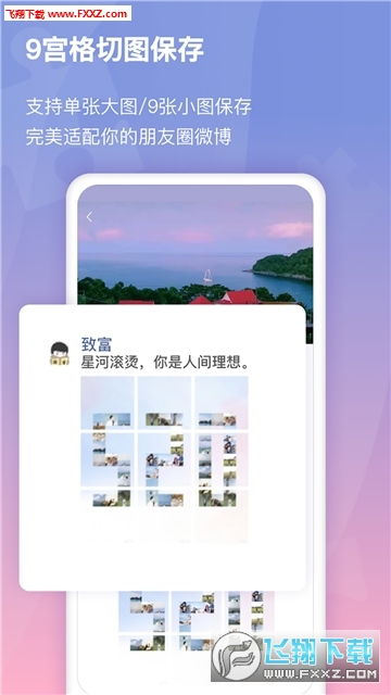 鱼类拼图 (图1)