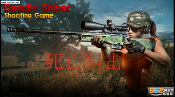 模拟狙击射击游戏手机版 (图1)