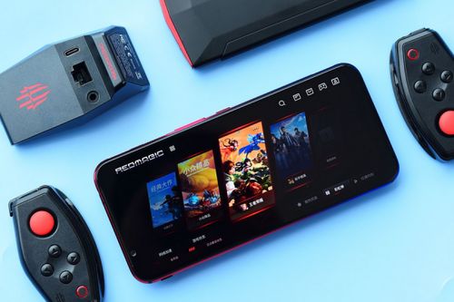 唱首歌给蜜蜂听2024最新版游戏手机下载 (图1)