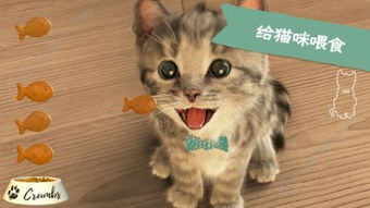 MyLittleGuardian游戏最新版中文下载 (图2) MyLittleGuardian游戏最新版中文下载 (图2)