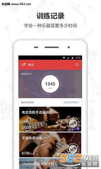 民族乐器调音器 (图3)