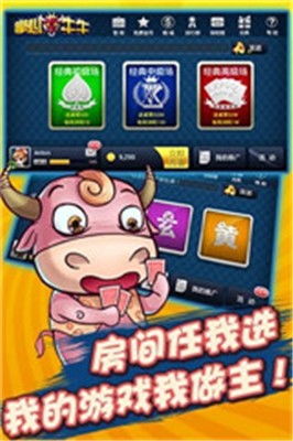 酷牛斗牛直播 (图2)