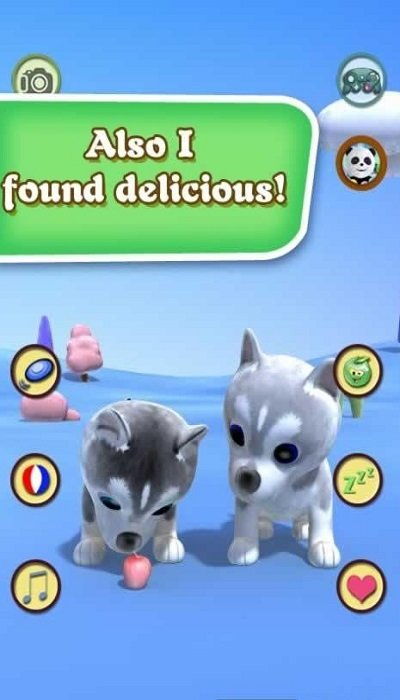 哈士奇萌宠屋 (图2)