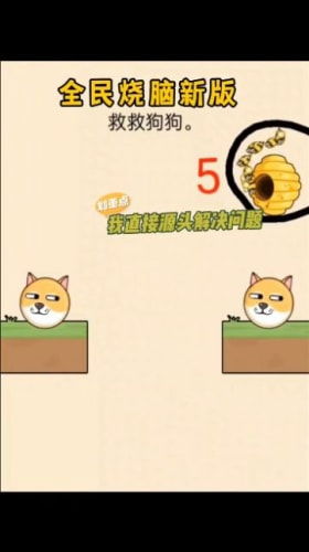 救救狗狗蜜蜂 (图1) 救救狗狗蜜蜂 (图1)
